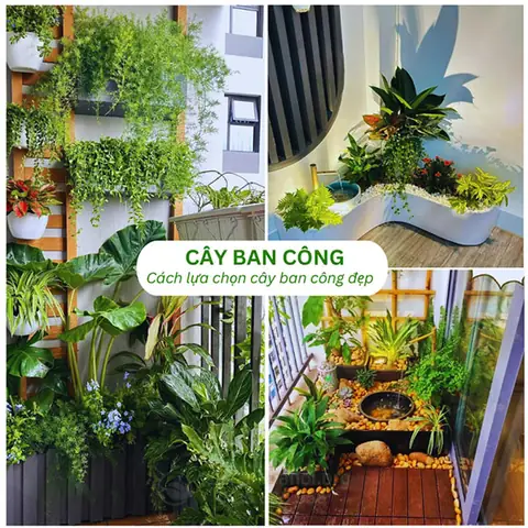 Top 15+ Mẫu Bồn Hoa Ban Công Đẹp, Dễ Trồng Cho Không Gian Sống Thêm Rạng Rỡ