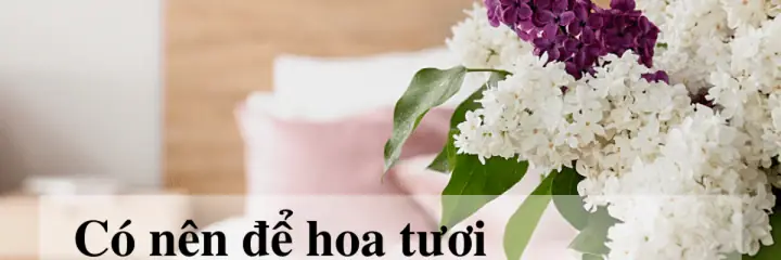 Có Nên Để Hoa Hồng Trong Phòng Ngủ? Lợi Ích, Nguy Cơ Và Giải Pháp Toàn Diện